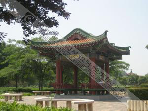 中国国花园